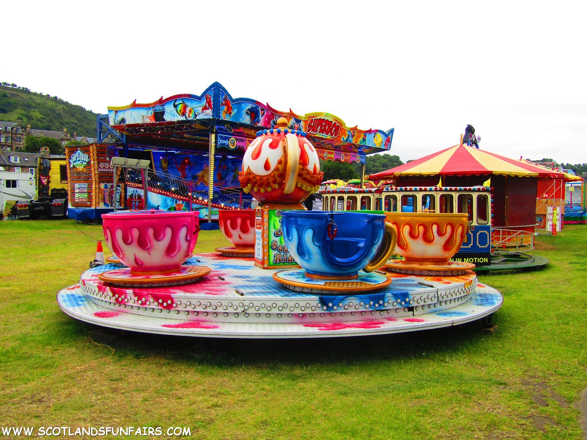 Phillip Paris's Teacups