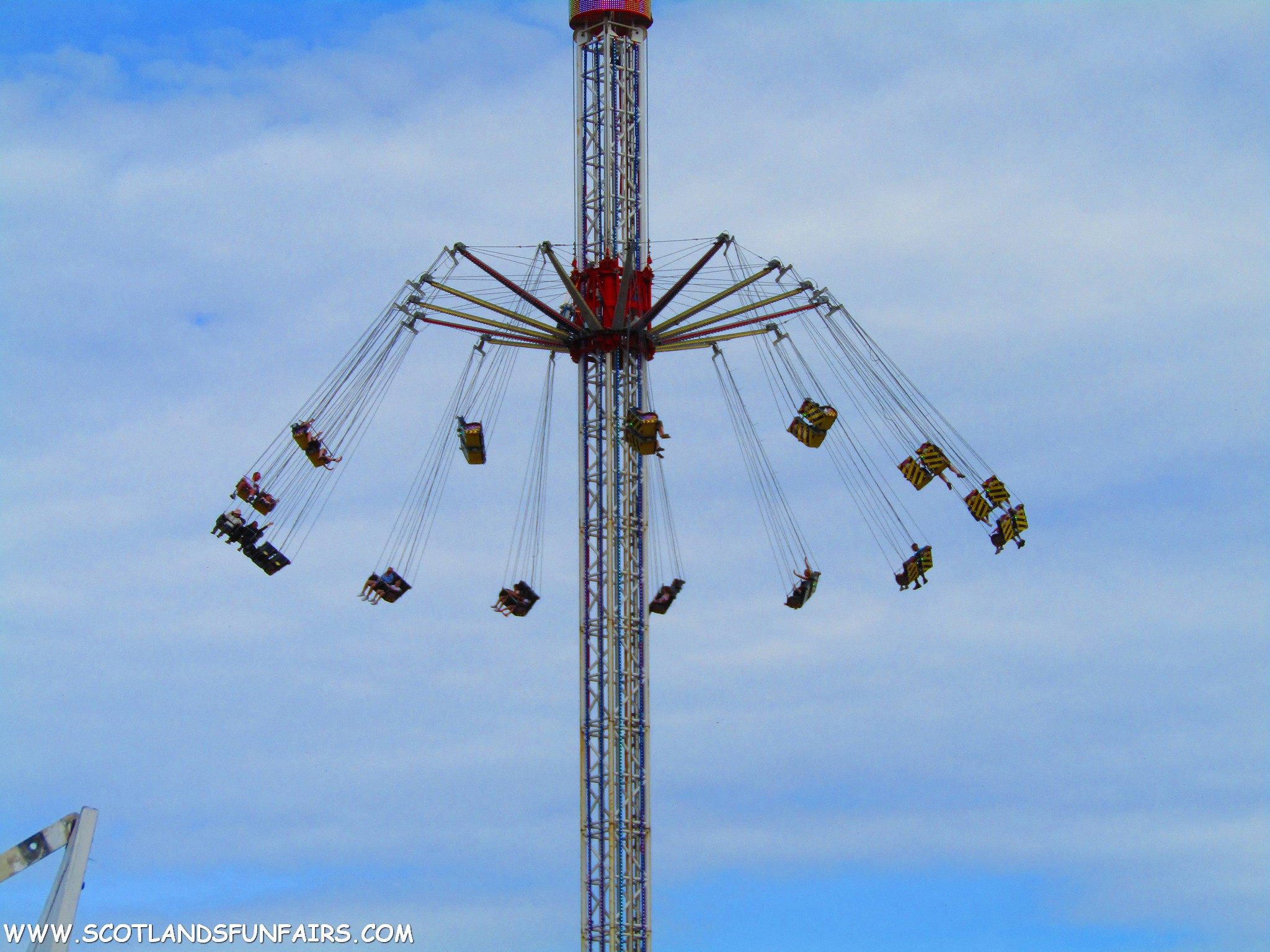Thomsons Starflyer