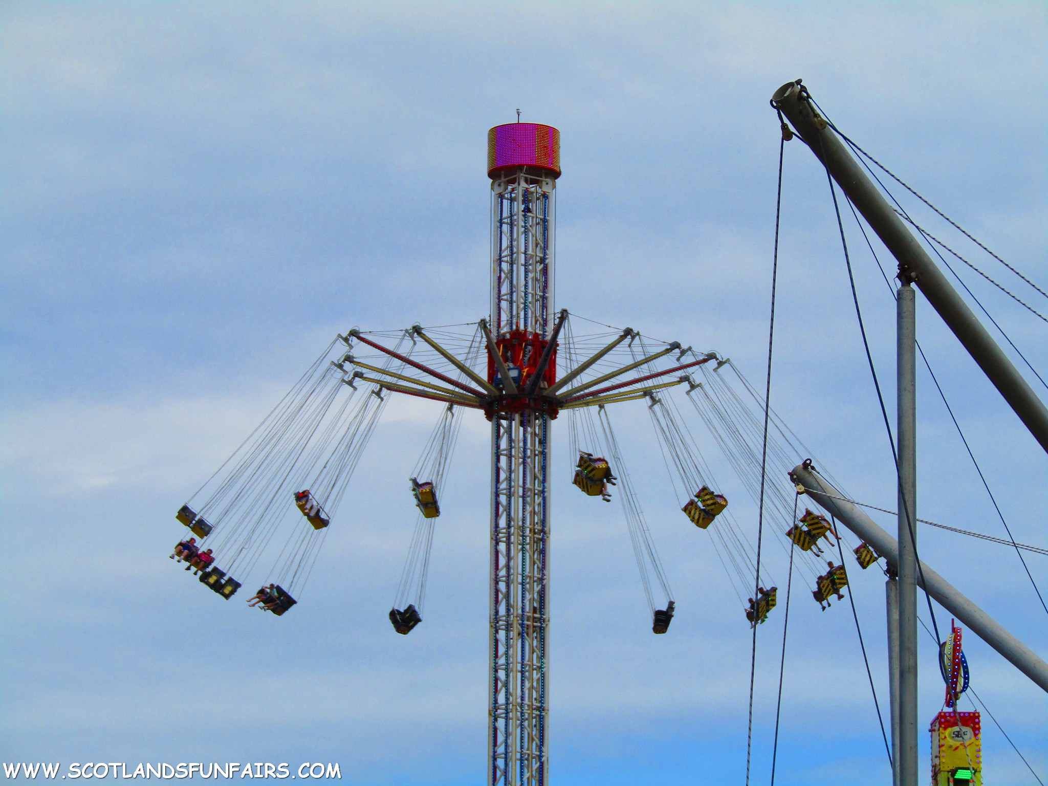 Thomsons Starflyer
