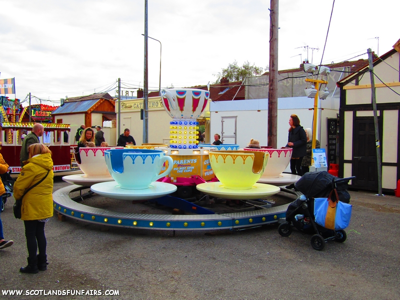 Max Cubbins Teacups