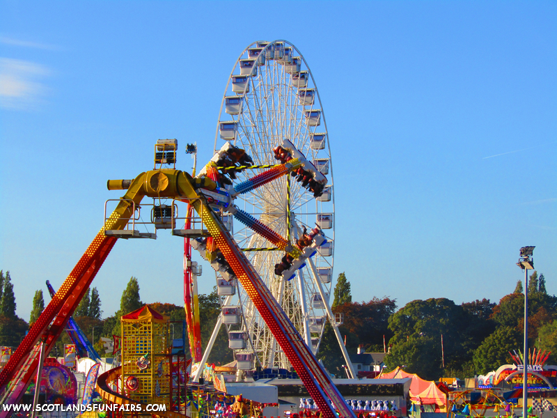 Jamie Clarks Superbowl