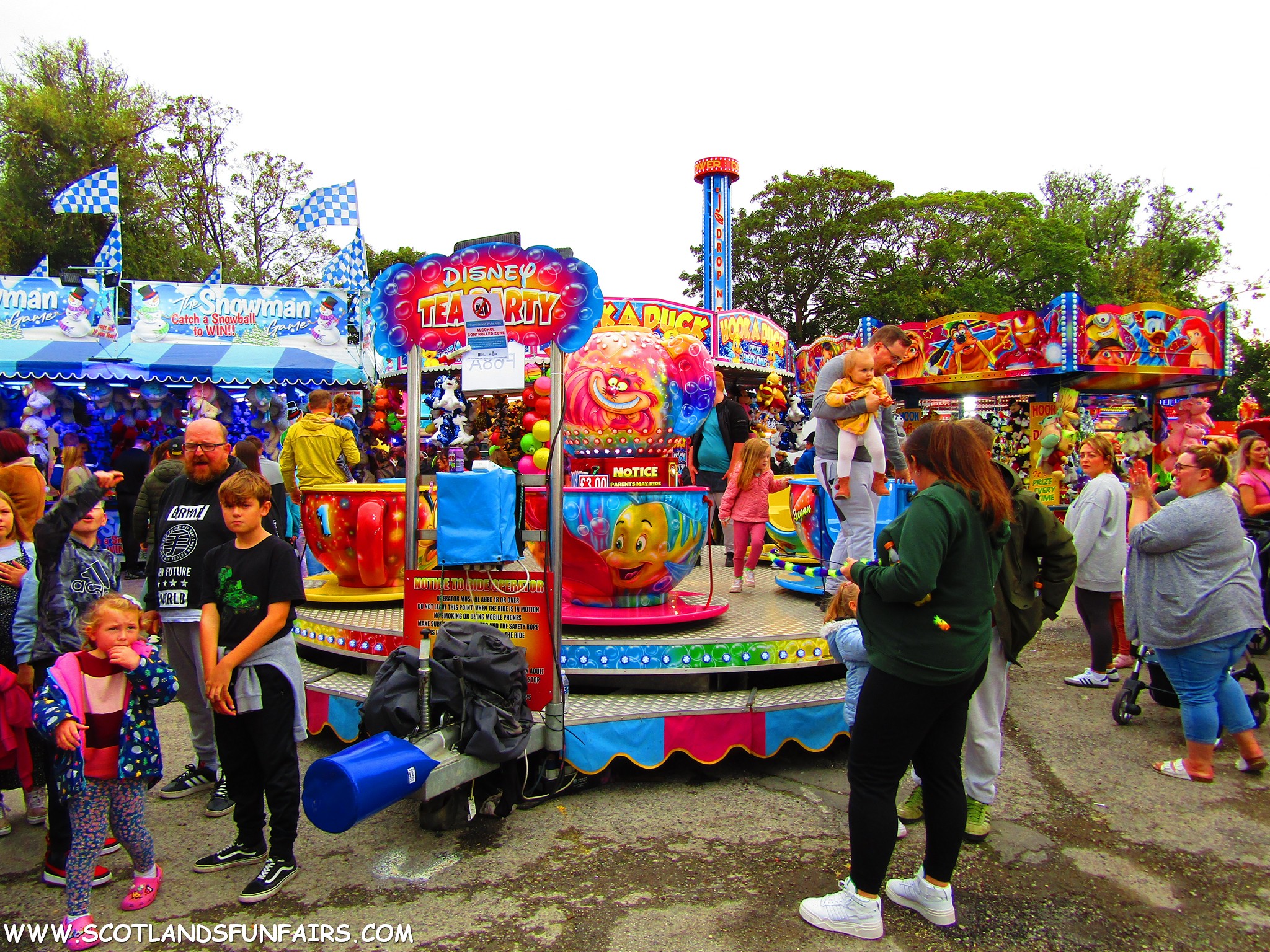Sherman Wynns Teacups