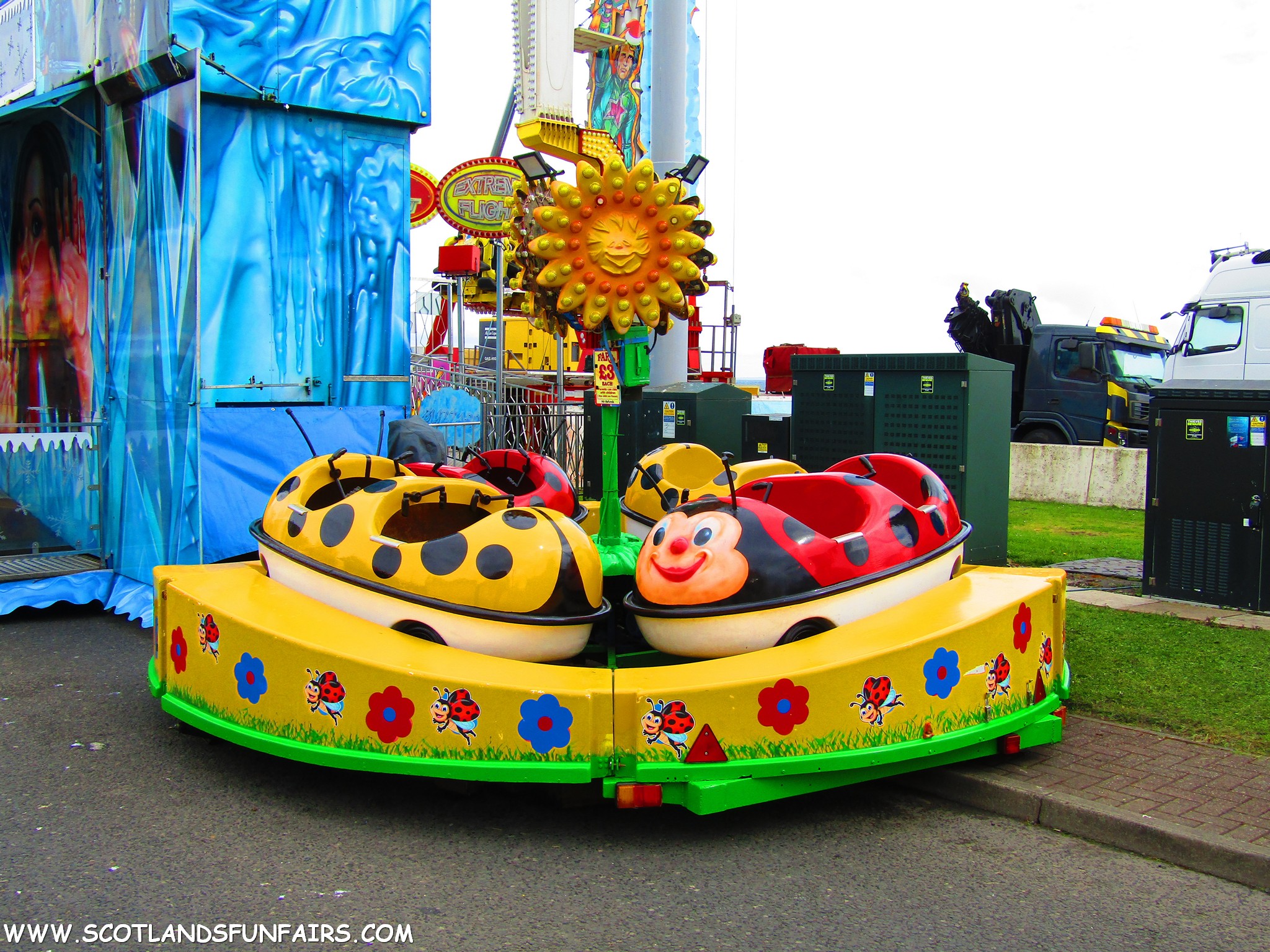 Allan Sharps Ladybirds