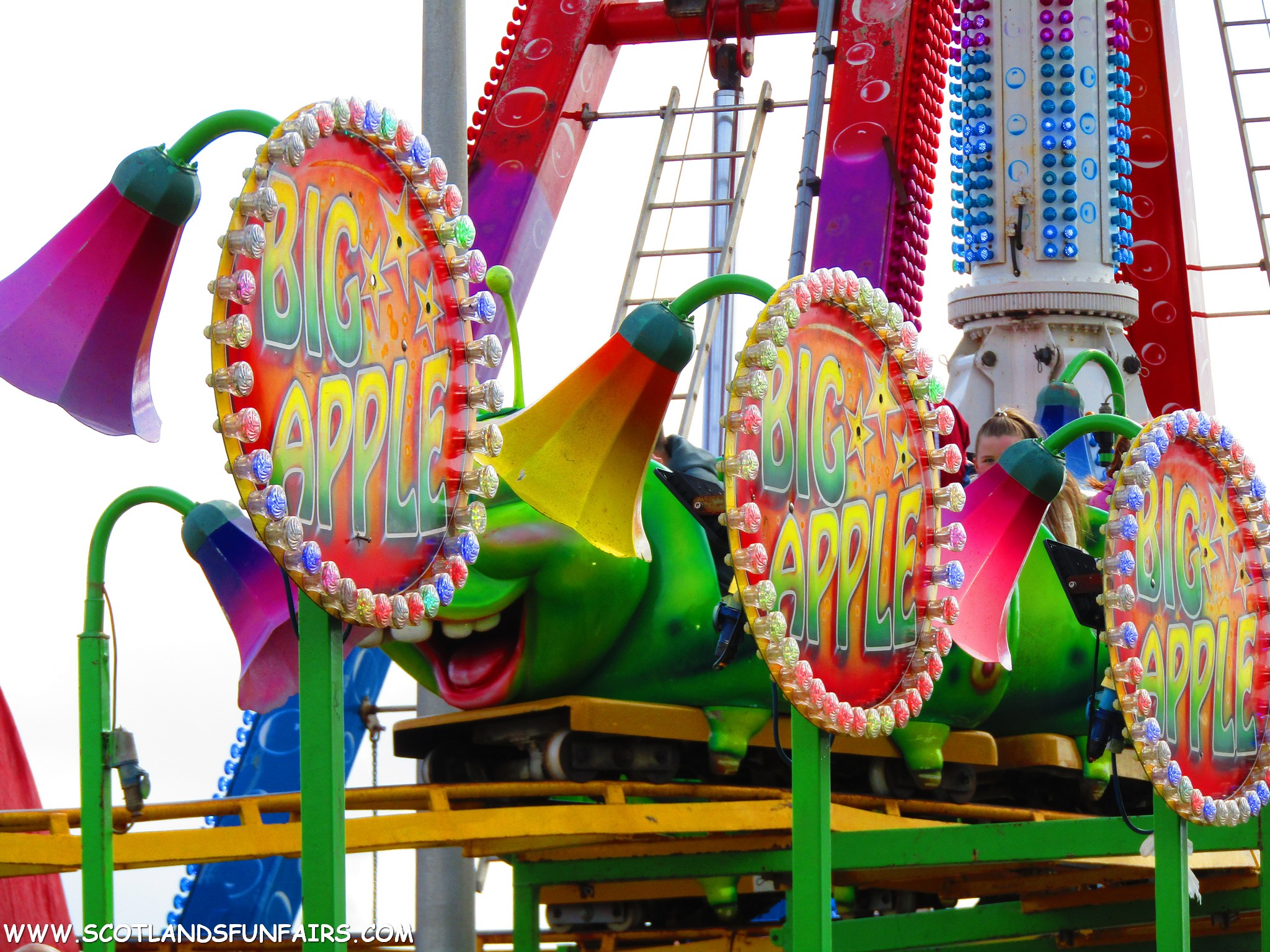 Bailey McKays Rollercoaster
