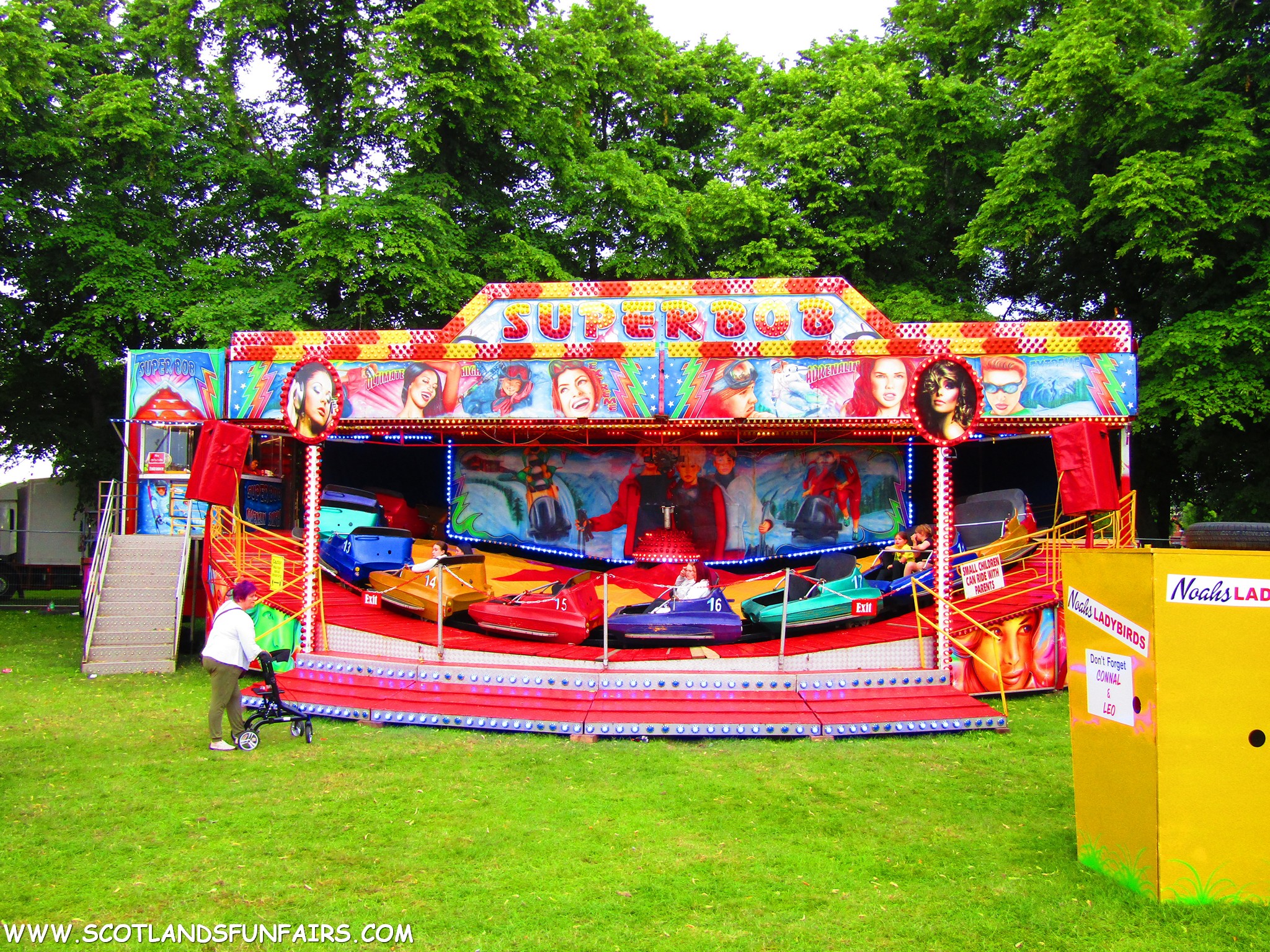 Sheldon Johnstones Superbob