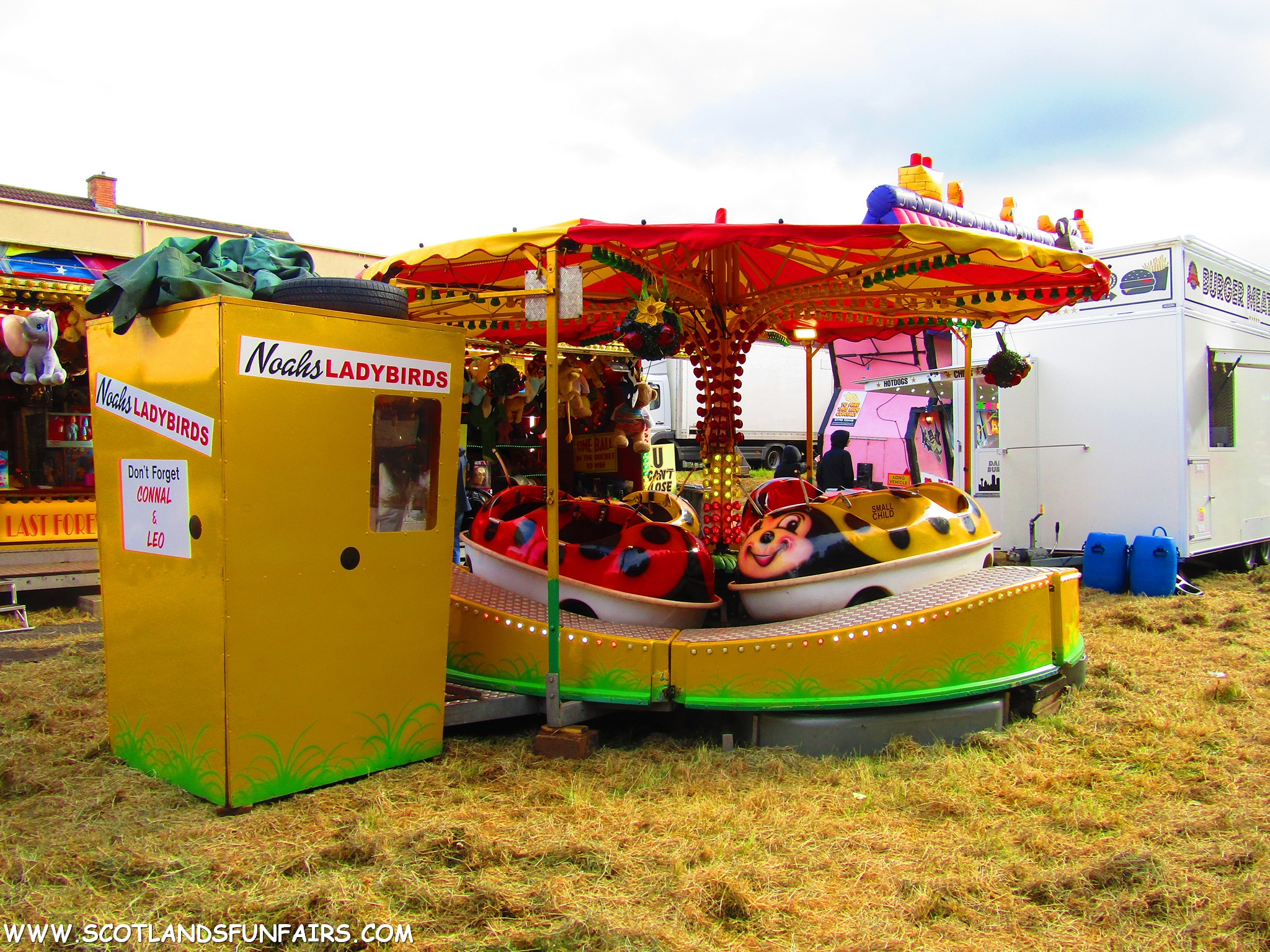 Kevin Carters Ladybirds