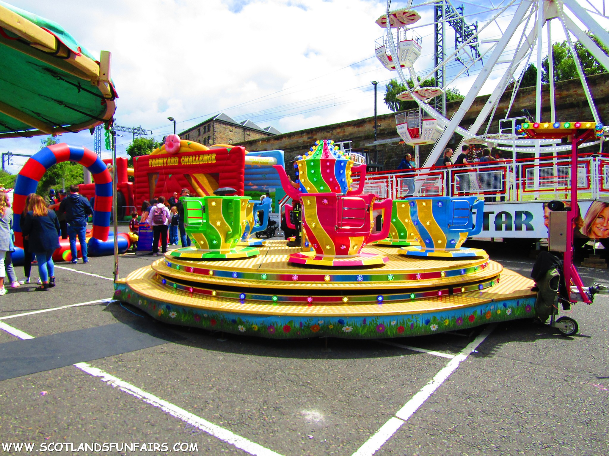 Albert Reids Teacups