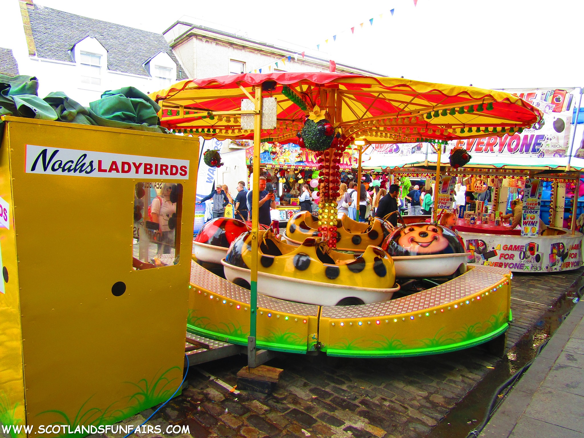 Kevin Carters Ladybirds