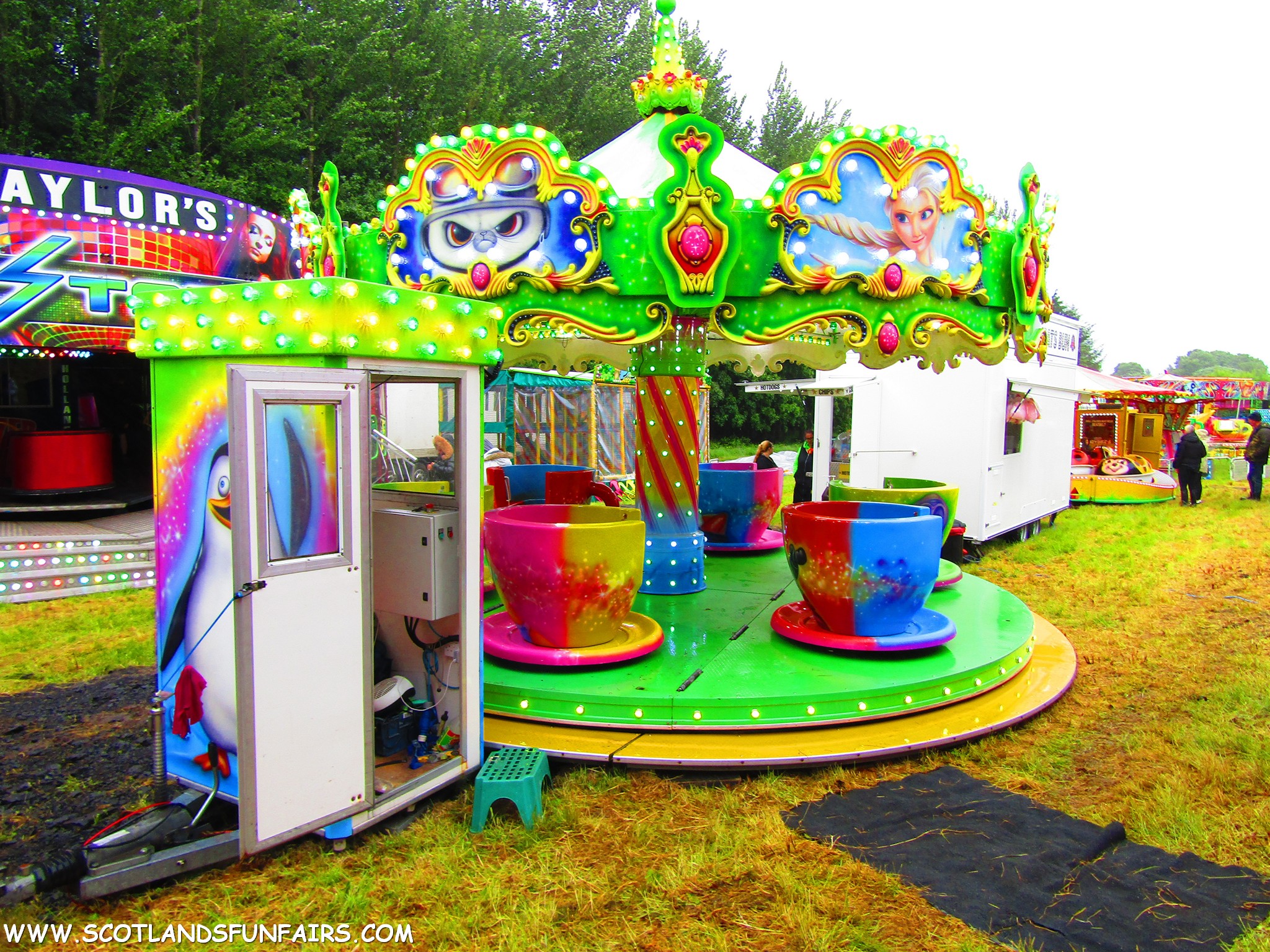 Victor Reeves Teacups