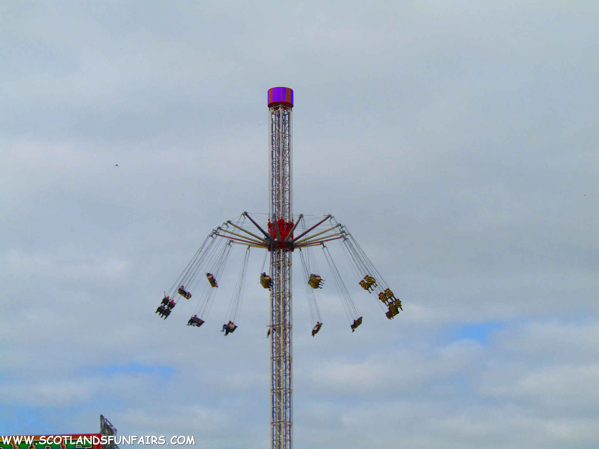 Thomsons Starflyer