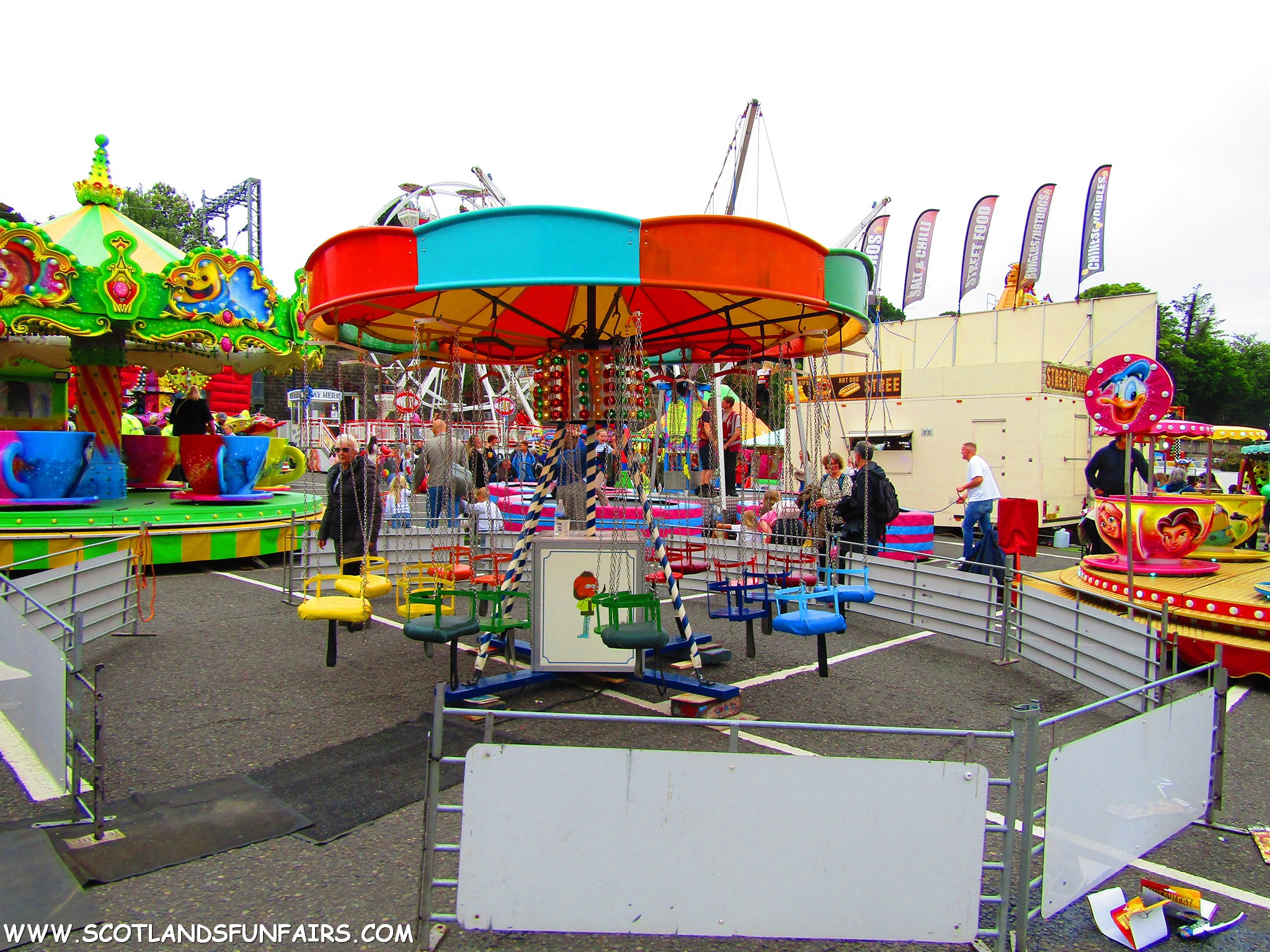 Thomas Findlays Mini Chairs