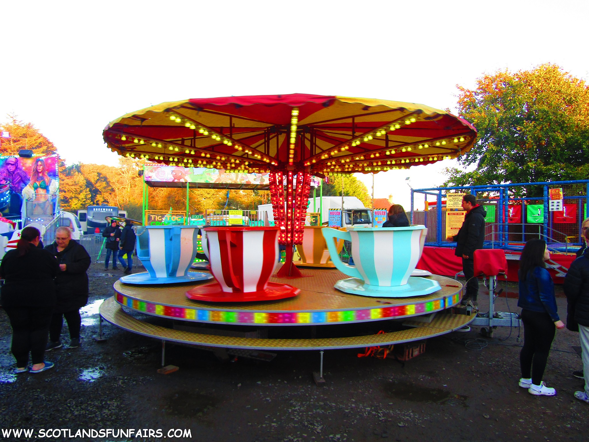 Trevor Smiths Teacups