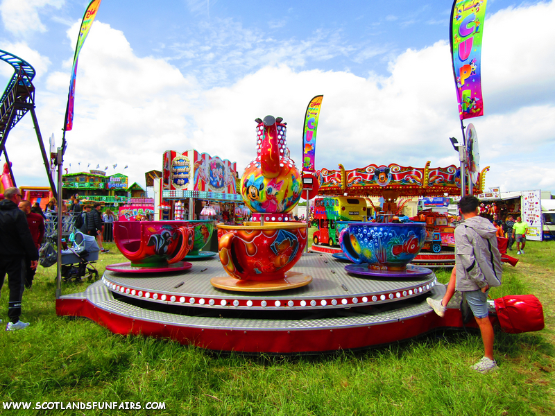 Austin O'Briens Teacups