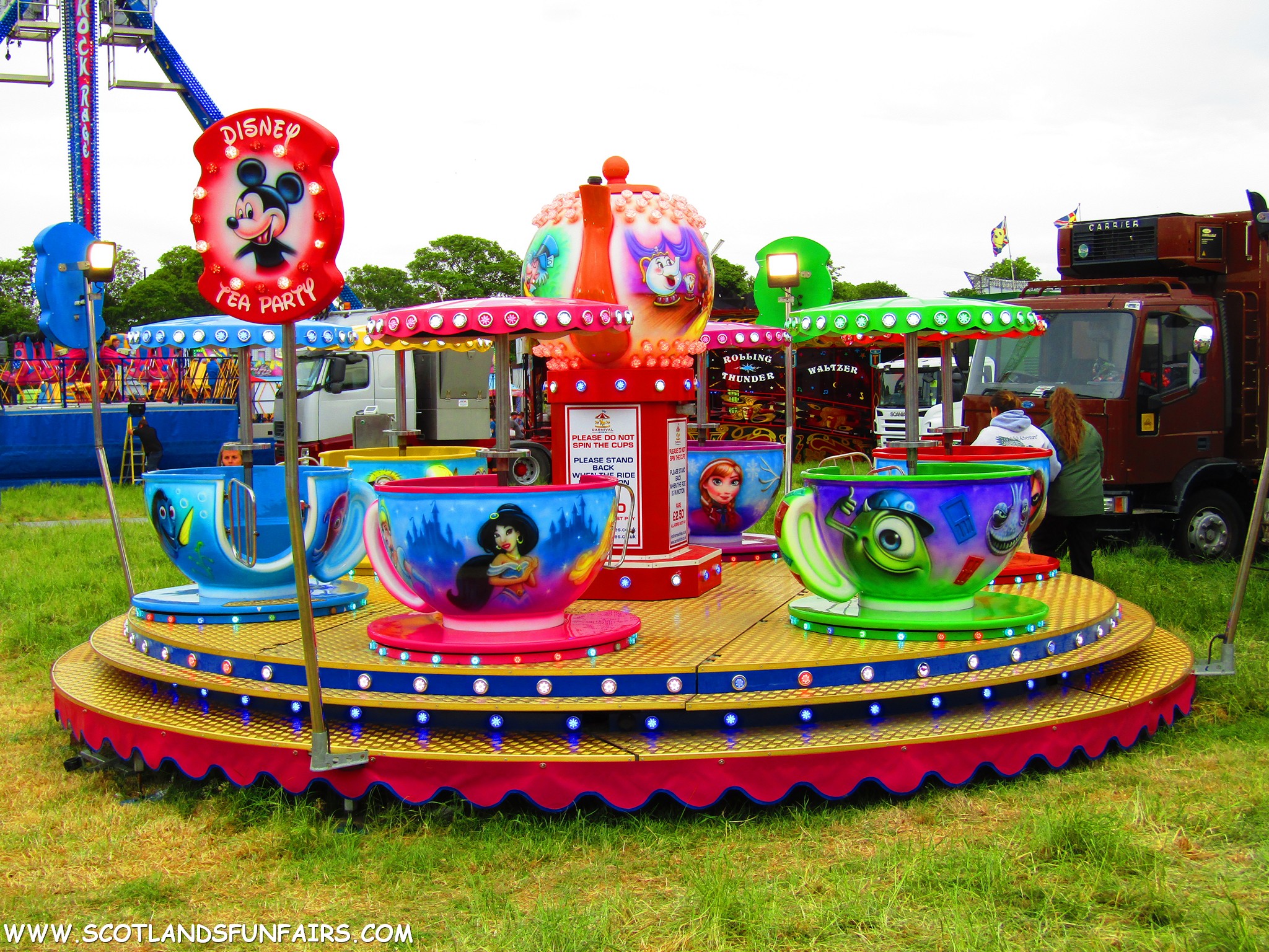 John Travis Houghtons Teacups