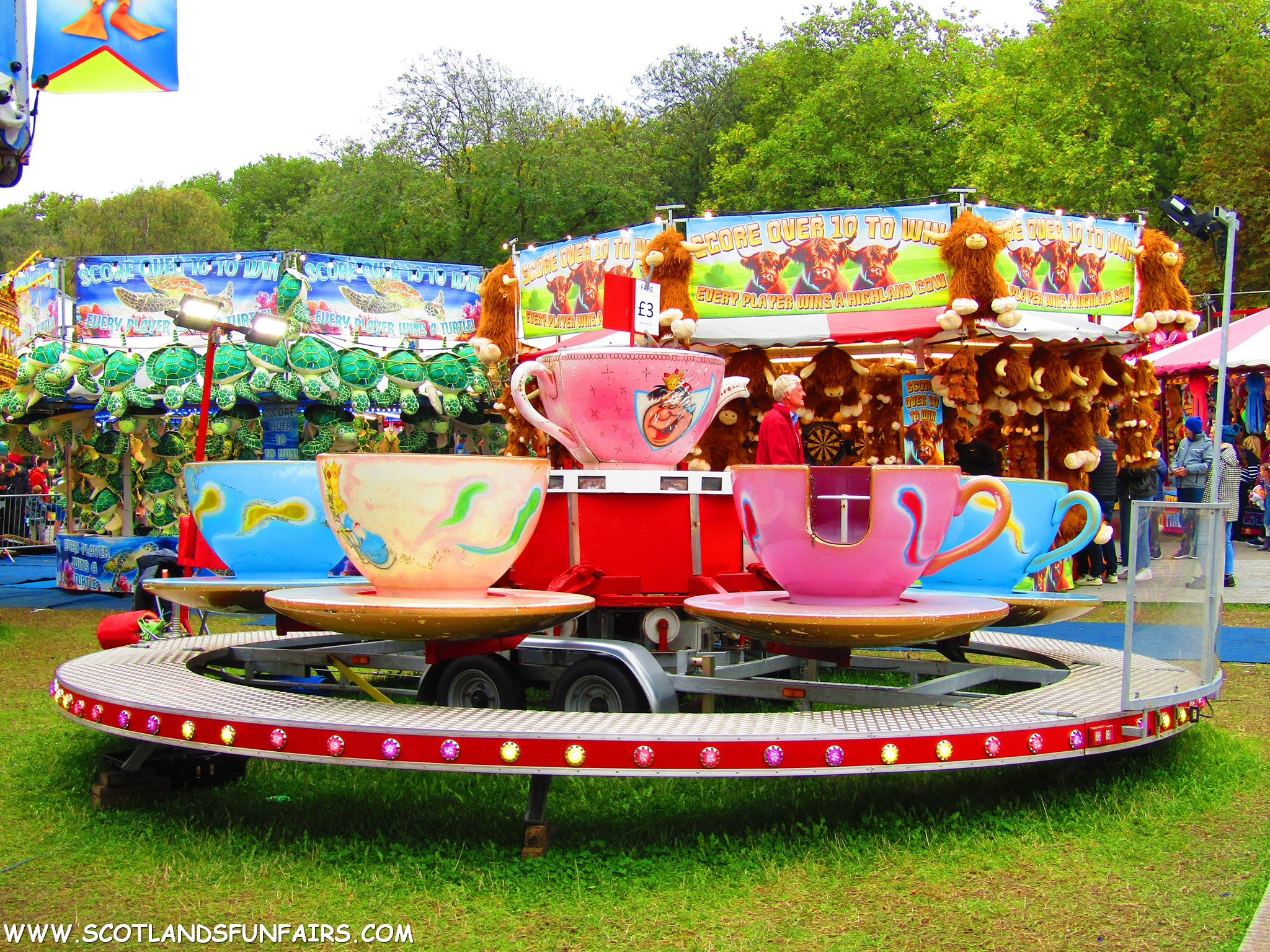 William Jones Teacups
