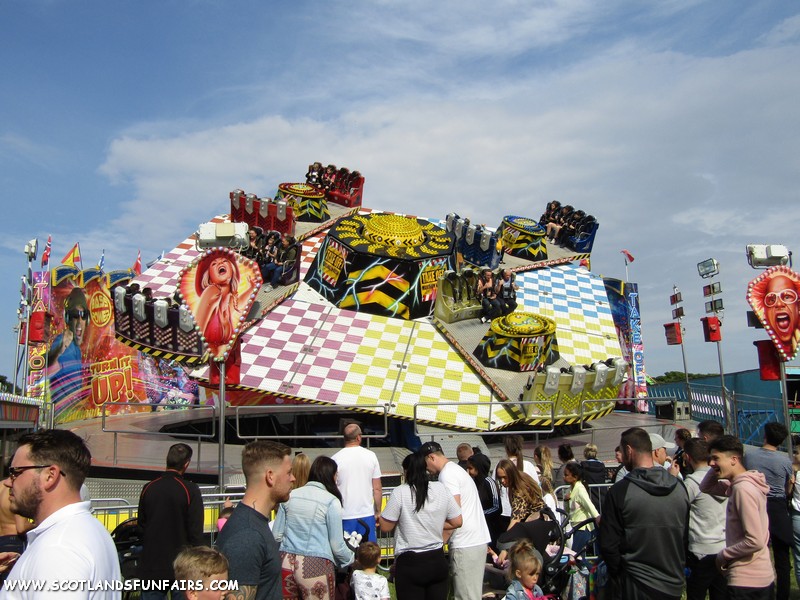 Mellors Group Shake Off