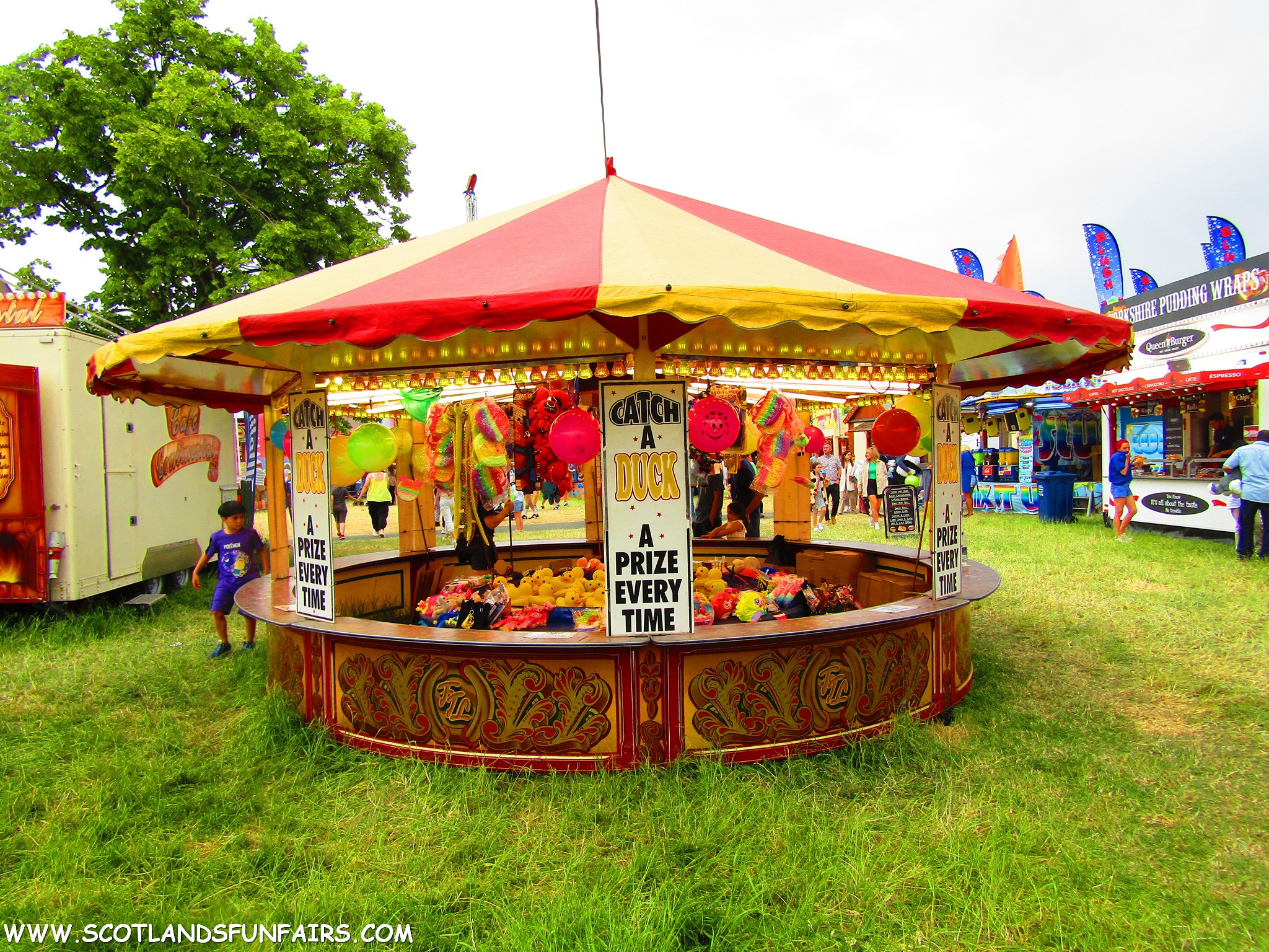 Freddy Loveridges Hoopla