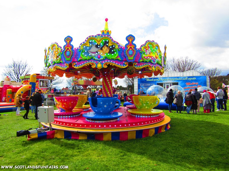 Hornes Teacups